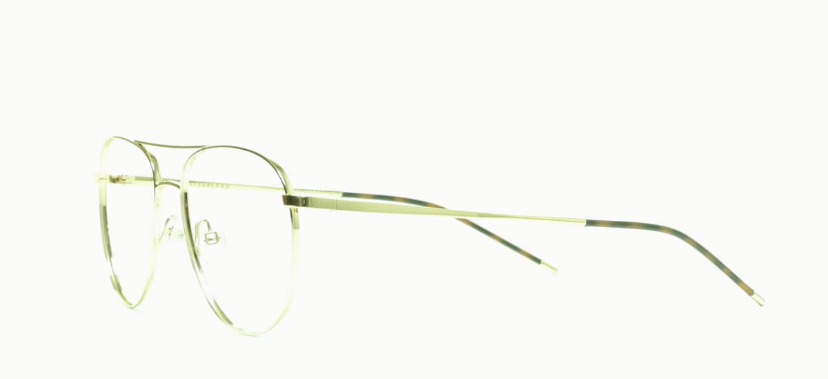 21.0000447-DAMIEN-GLS-53-16