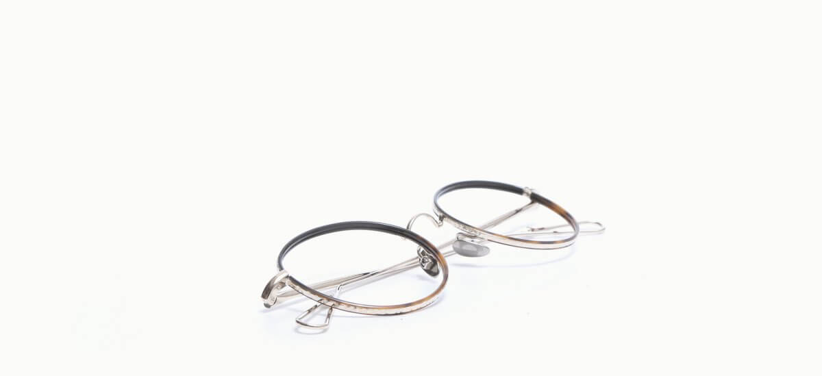 2600023600 AHL Auber Grey Gold-Gradient Turtle WSR 5019 487,00 €-3
